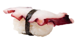 Oktopus Nigiri
