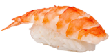 Ebi Nigiri